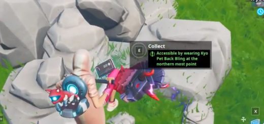Fortbyte challenges: Accessible by wearing Kyo Pet Back Bling at the northern most point  