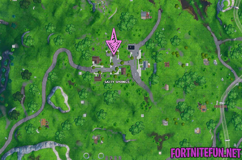 Fortbyte challenges: Found within Salty Springs  