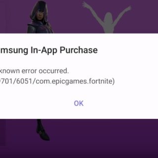 e9701/6051/com. epicgames.fortnite - How to fix Fortnite x Samsung promotion error?  