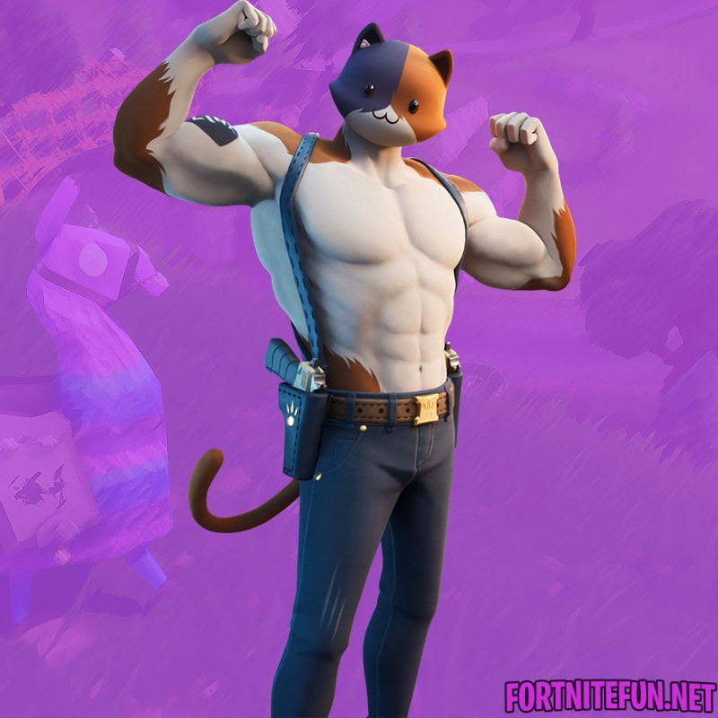 Meowscles outfit is a cat wearing trousers with straps, a pair of pistol ho...