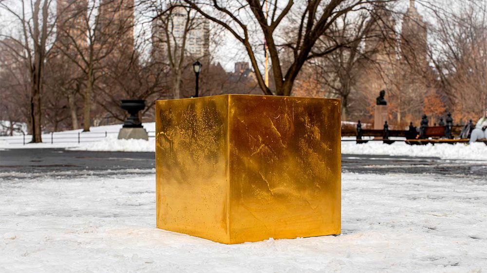 Golden cube from Fortnite appeared in New York's Central Park 